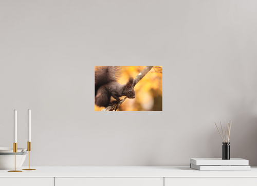 30 x 20 cm, Fine-Art Matt Autumn Whisper