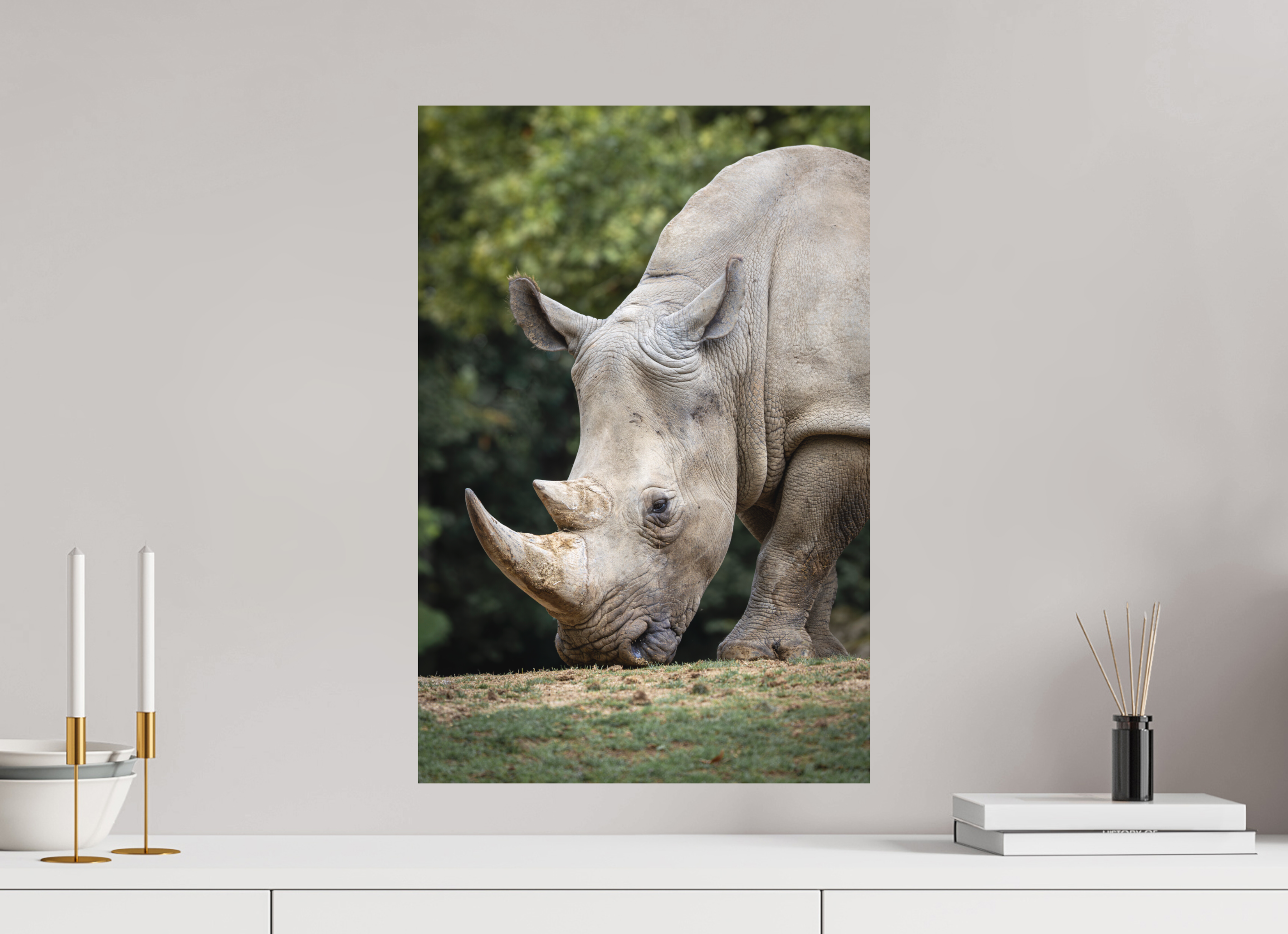 40 x 60 cm, Fine-Art Print Matt Gentle Grazer