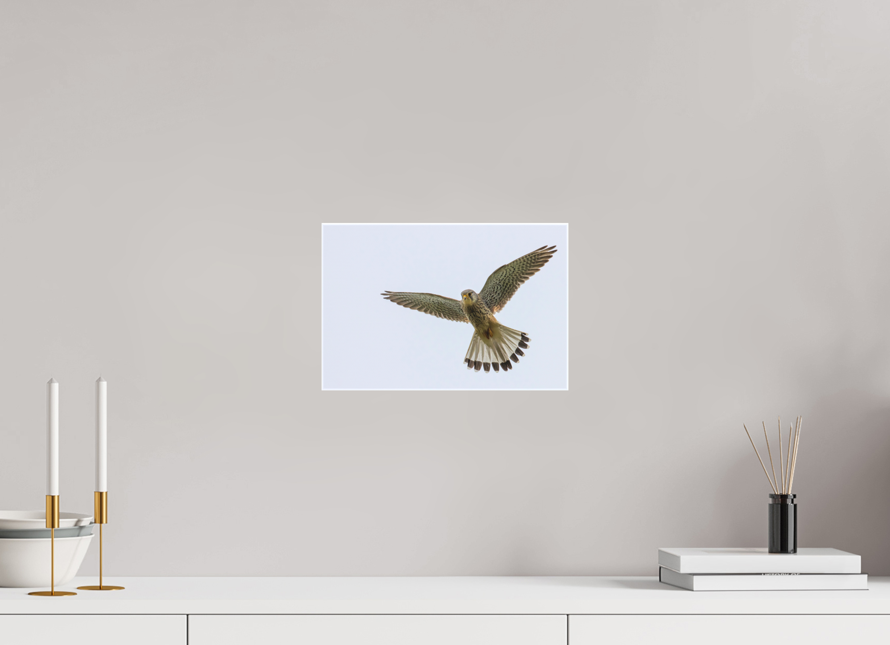 30 x 20 cm, Leinwand Hovering Hunter