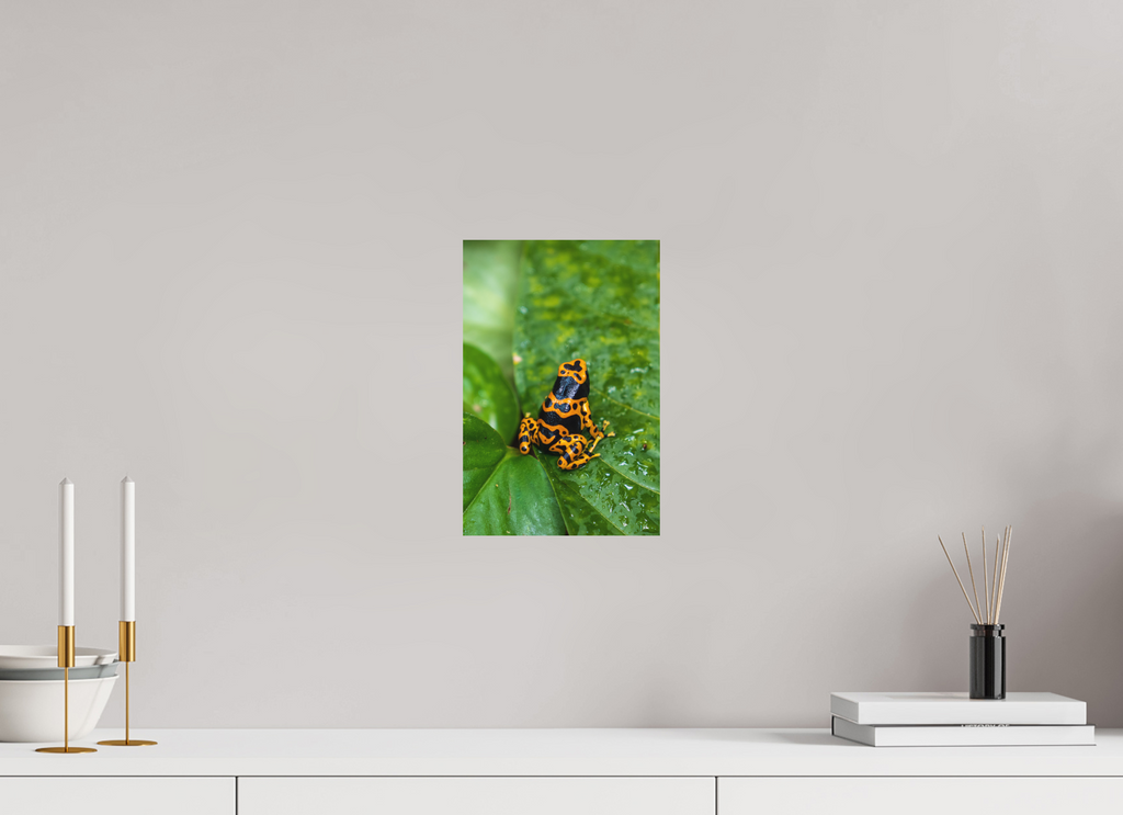 20 x 30 cm, Fine-Art Matt Tropical Contrast