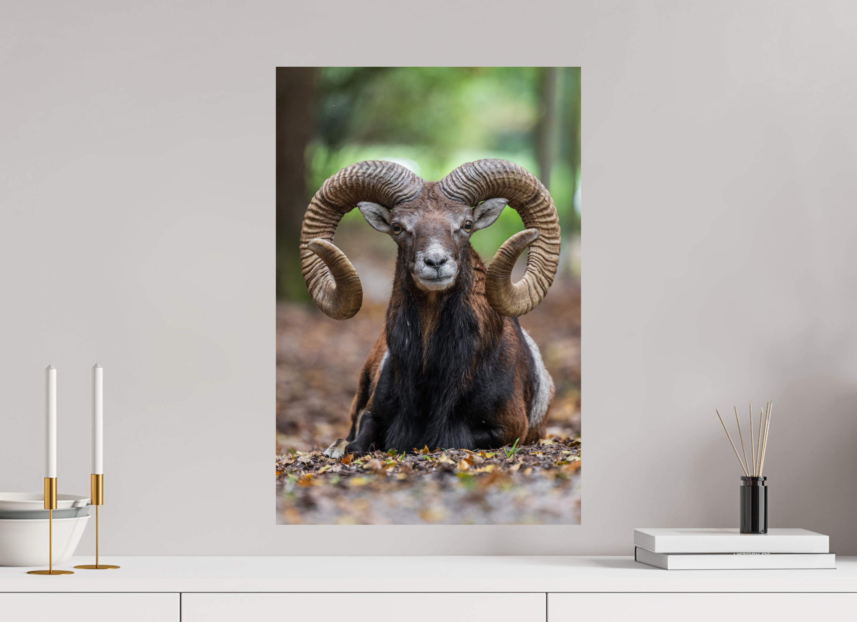 40 x 60 cm, Fine Art Print auf Alu-Dibond Majestic Rest