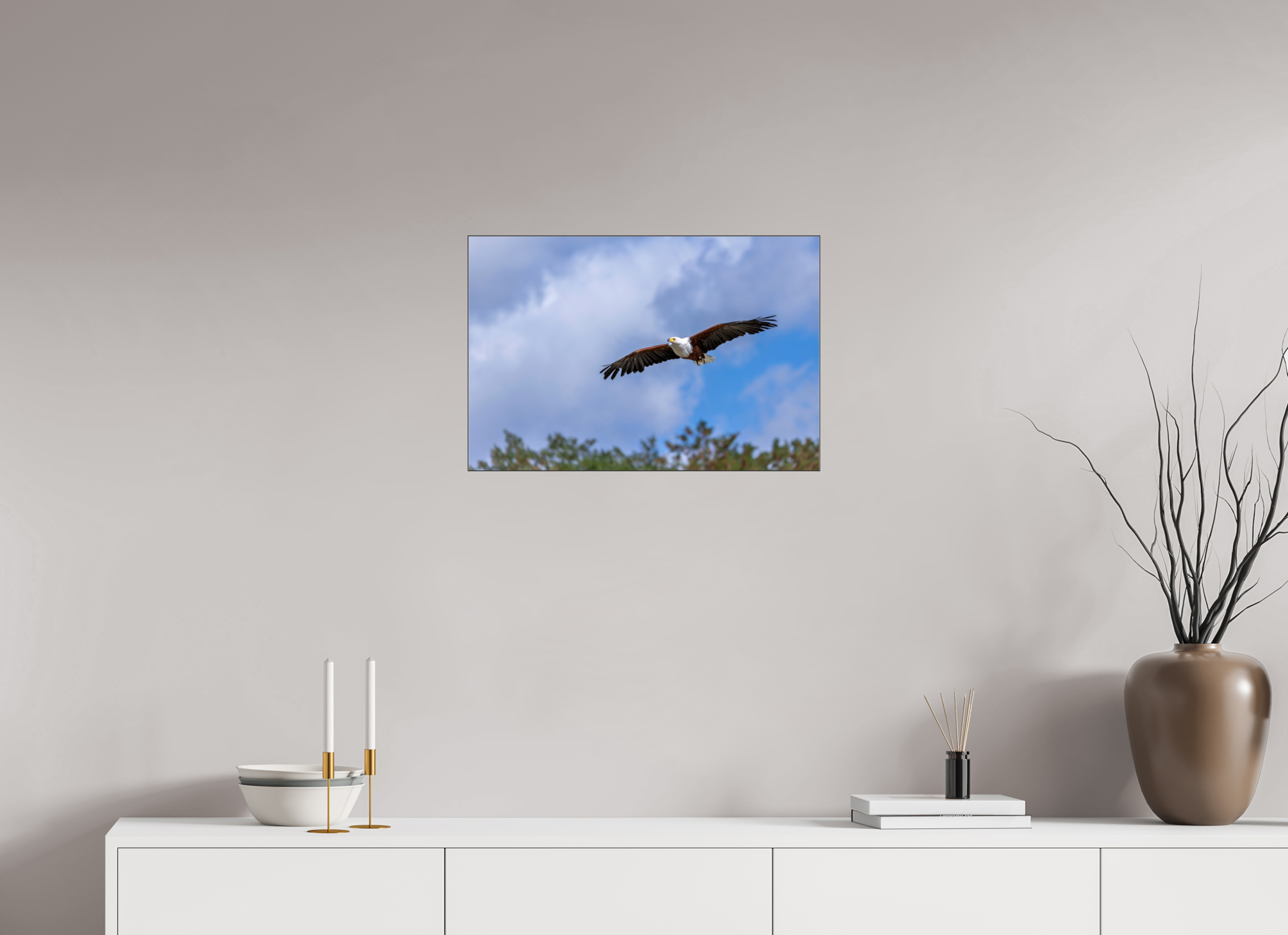 60 x 40 cm, Foto-Abzug hinter Acrylglas glänzend Wings of Africa