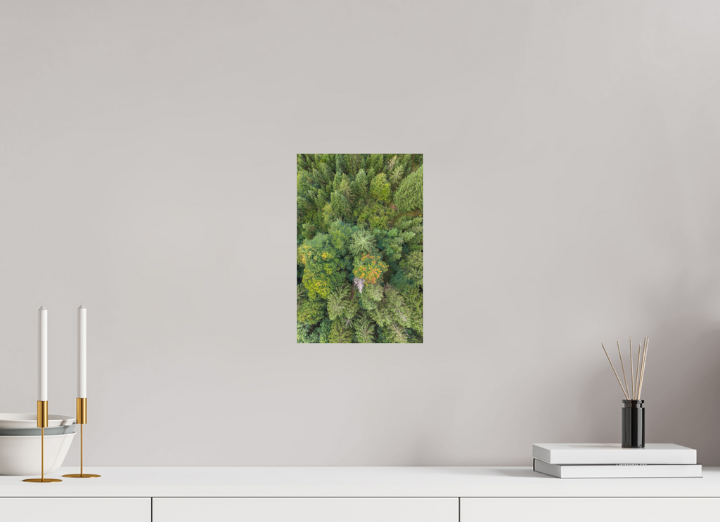 20 x 30 cm, Fine-Art Matt Vertical Pines