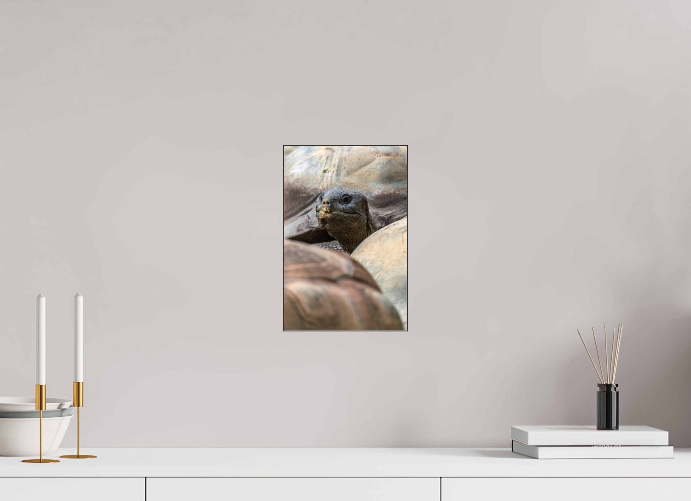 20 x 30 cm, Foto-Abzug hinter Acrylglas glänzend Peekaboo Giant