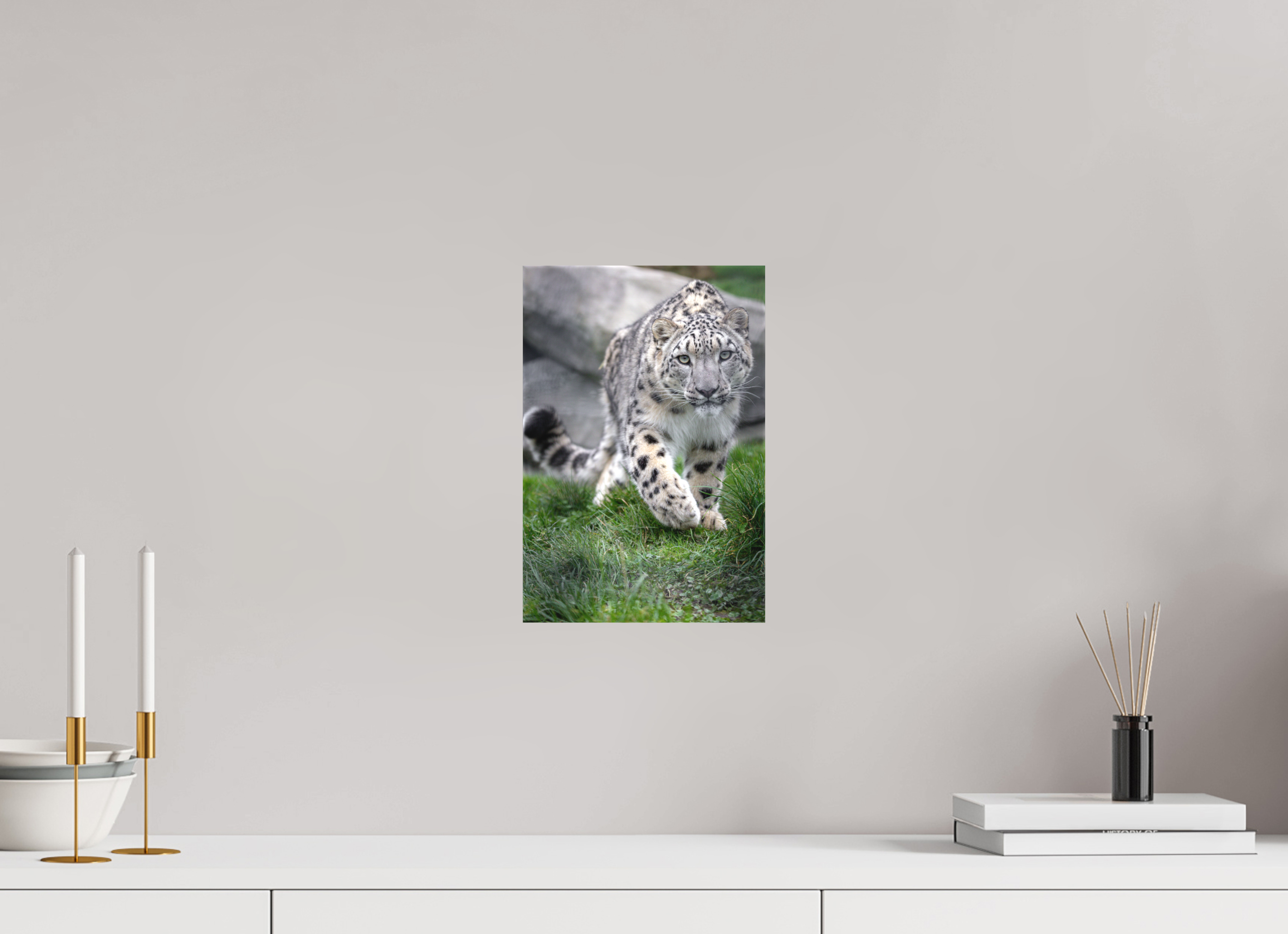 20 x 30 cm, Leinwand Curious Hunter