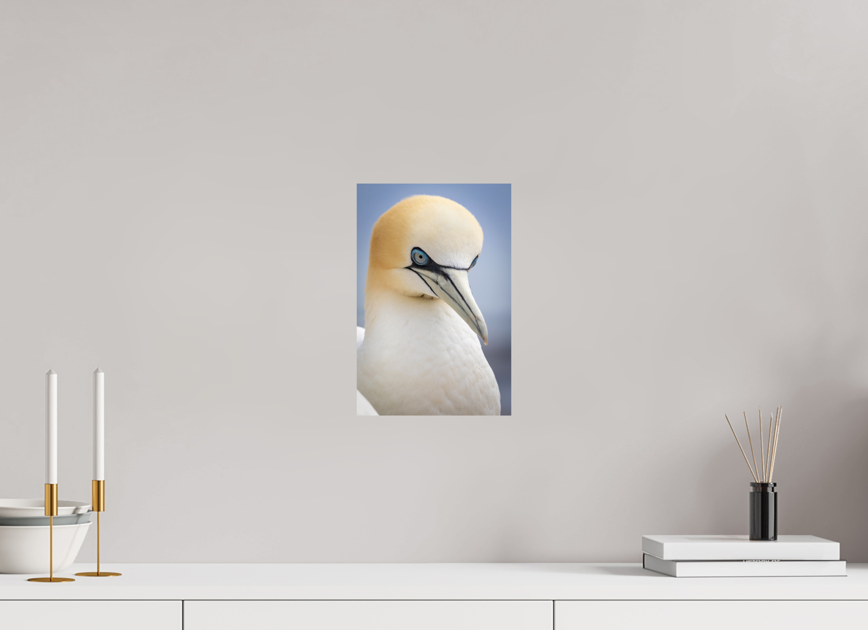 20 x 30 cm, Fine Art Print auf Alu-Dibond Seabird Majesty