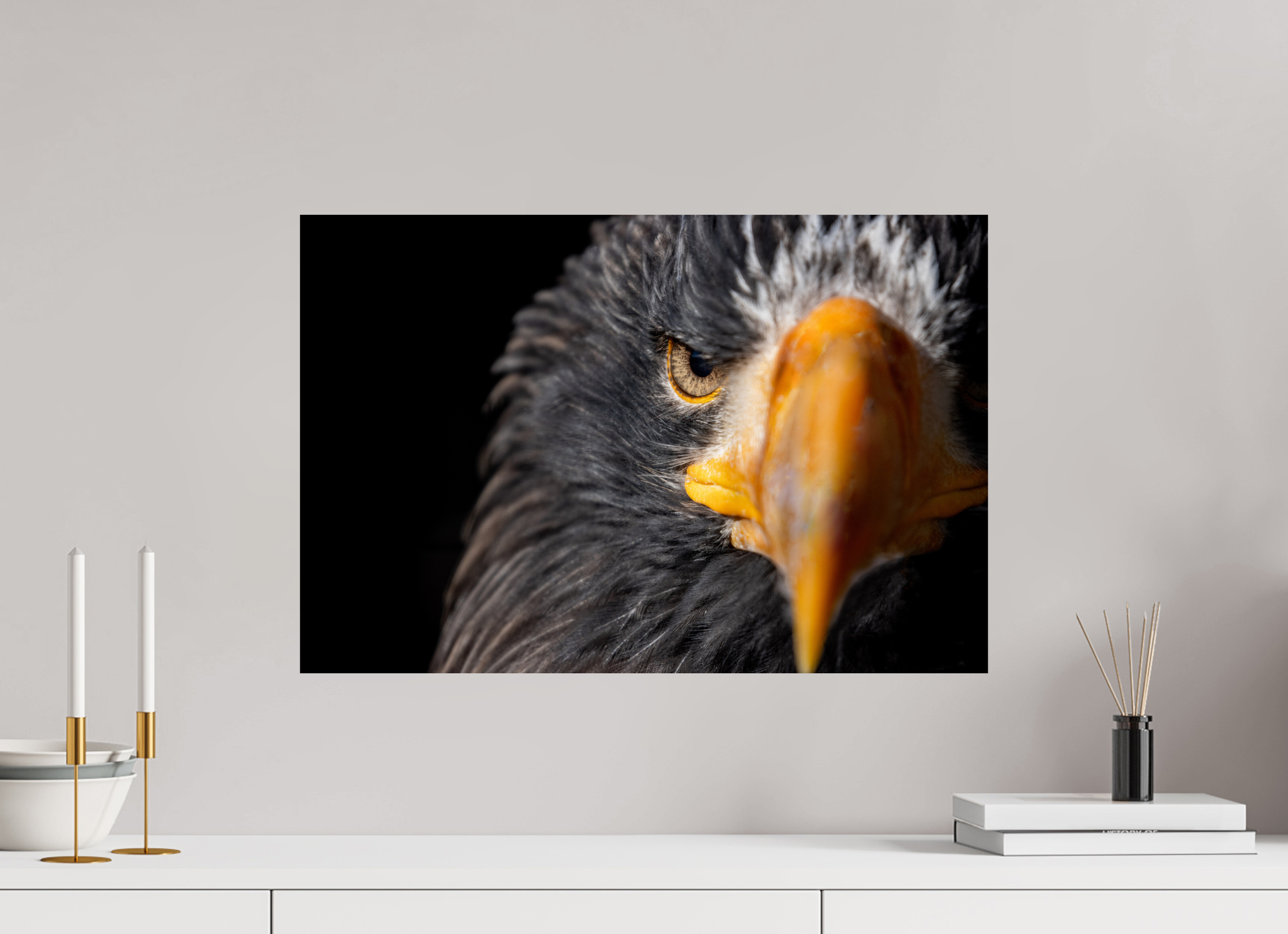 60 x 40 cm, Fine Art Print auf Alu-Dibond Piercing Gaze