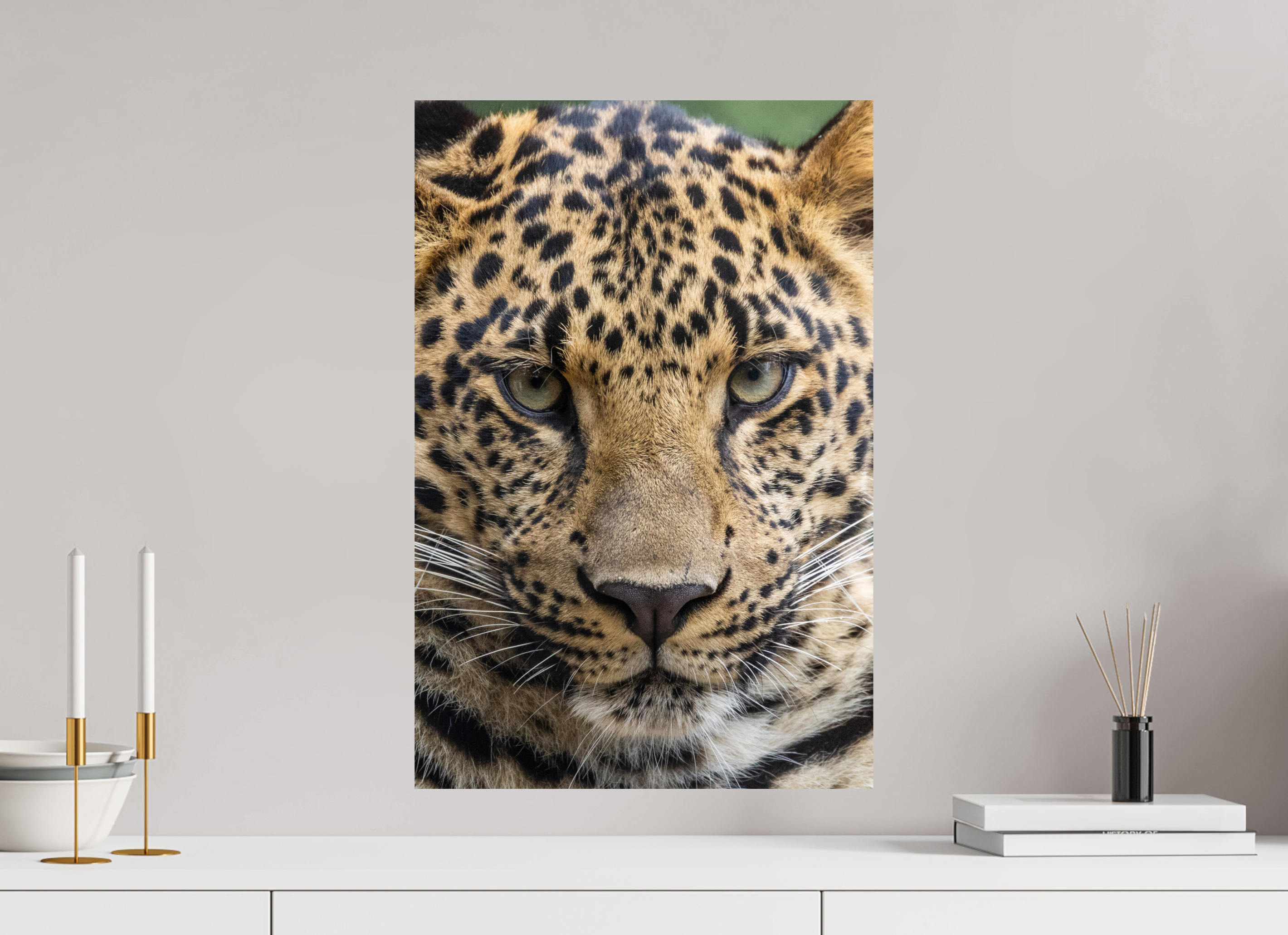 40 x 60 cm, Fine Art Print auf Alu-Dibond Wild Focus