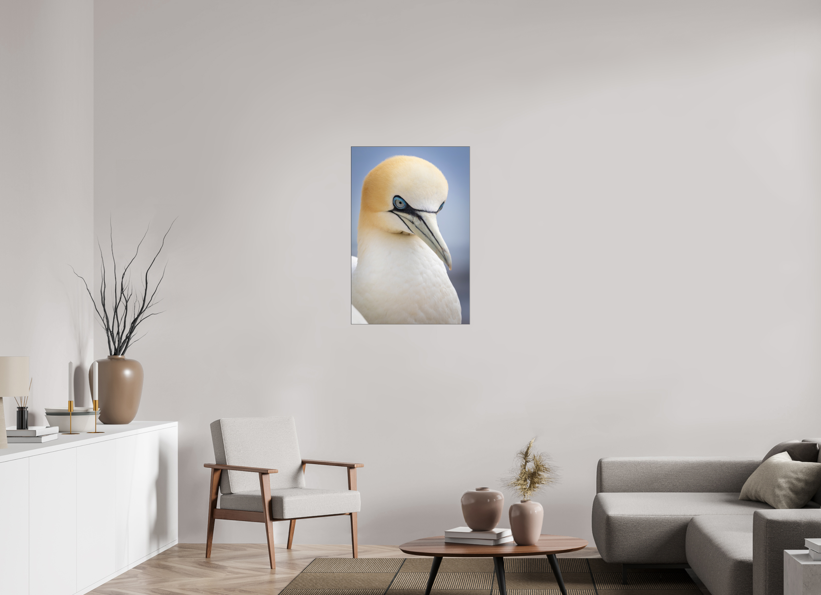 60 x 90 cm, Foto-Abzug hinter Acrylglas glänzend Seabird Majesty