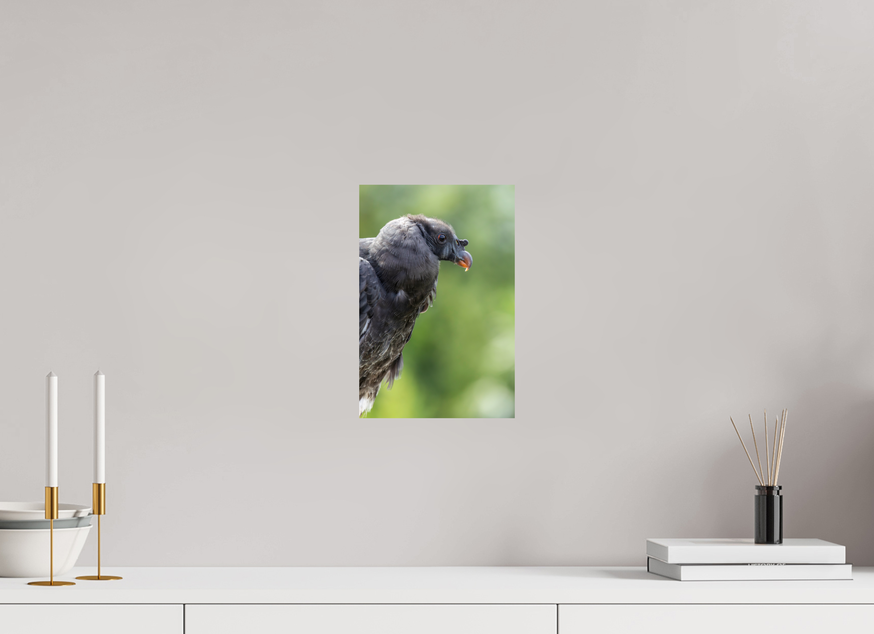 20 x 30 cm, Fine Art Print auf Alu-Dibond Royal Youth