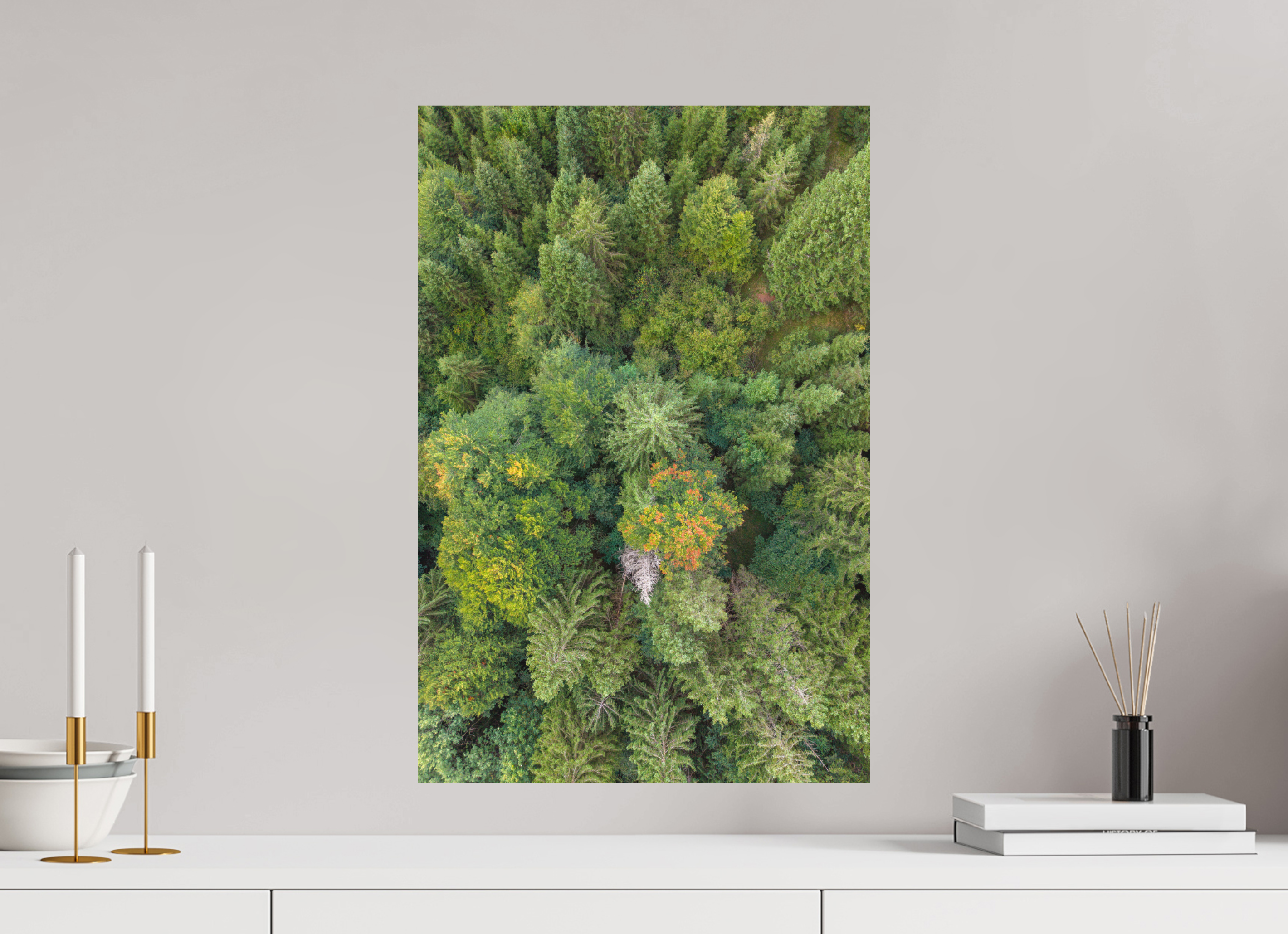 40 x 60 cm, Fine-Art Matt Vertical Pines