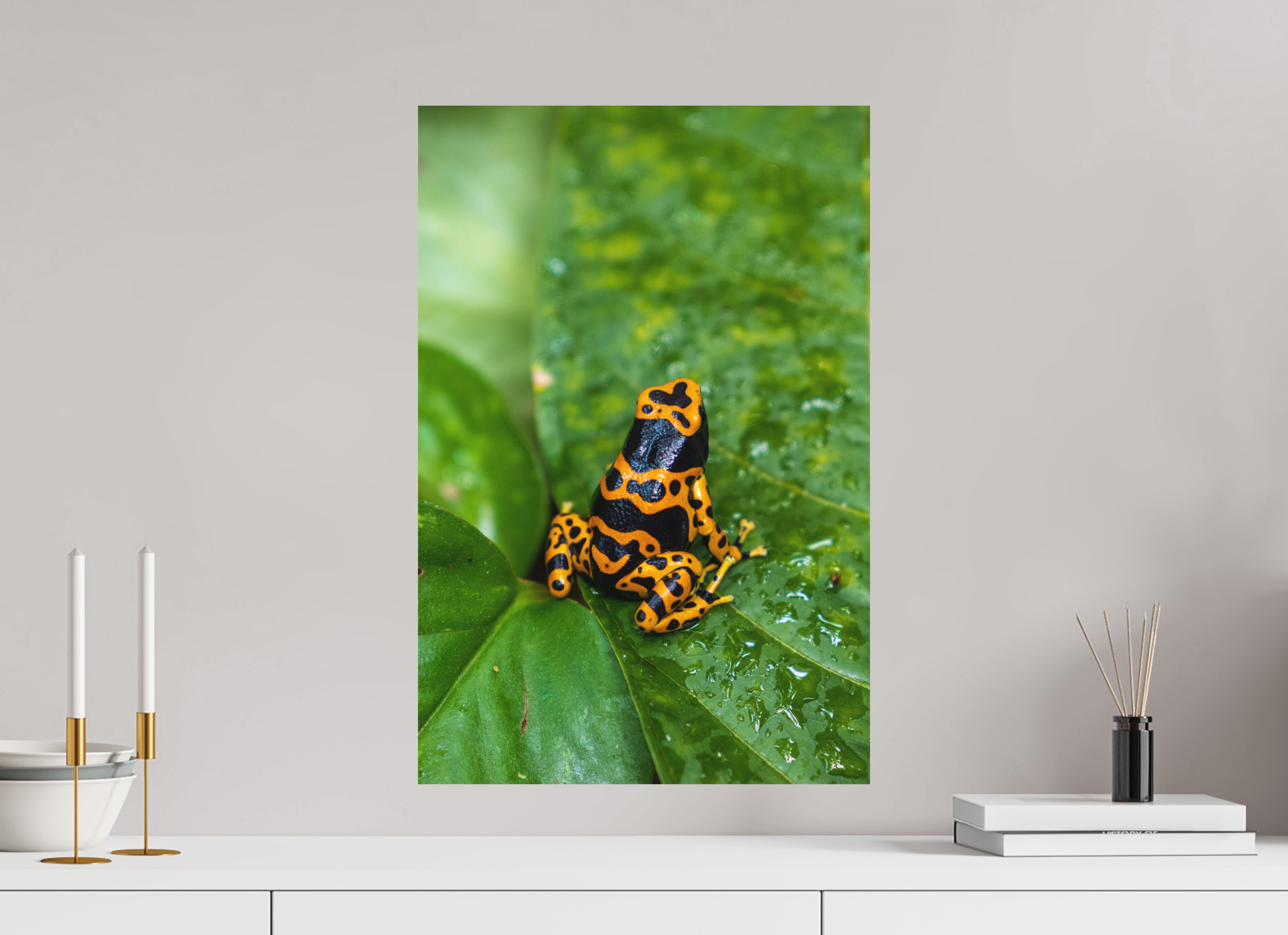 40 x 60 cm, Fine-Art Matt Tropical Contrast