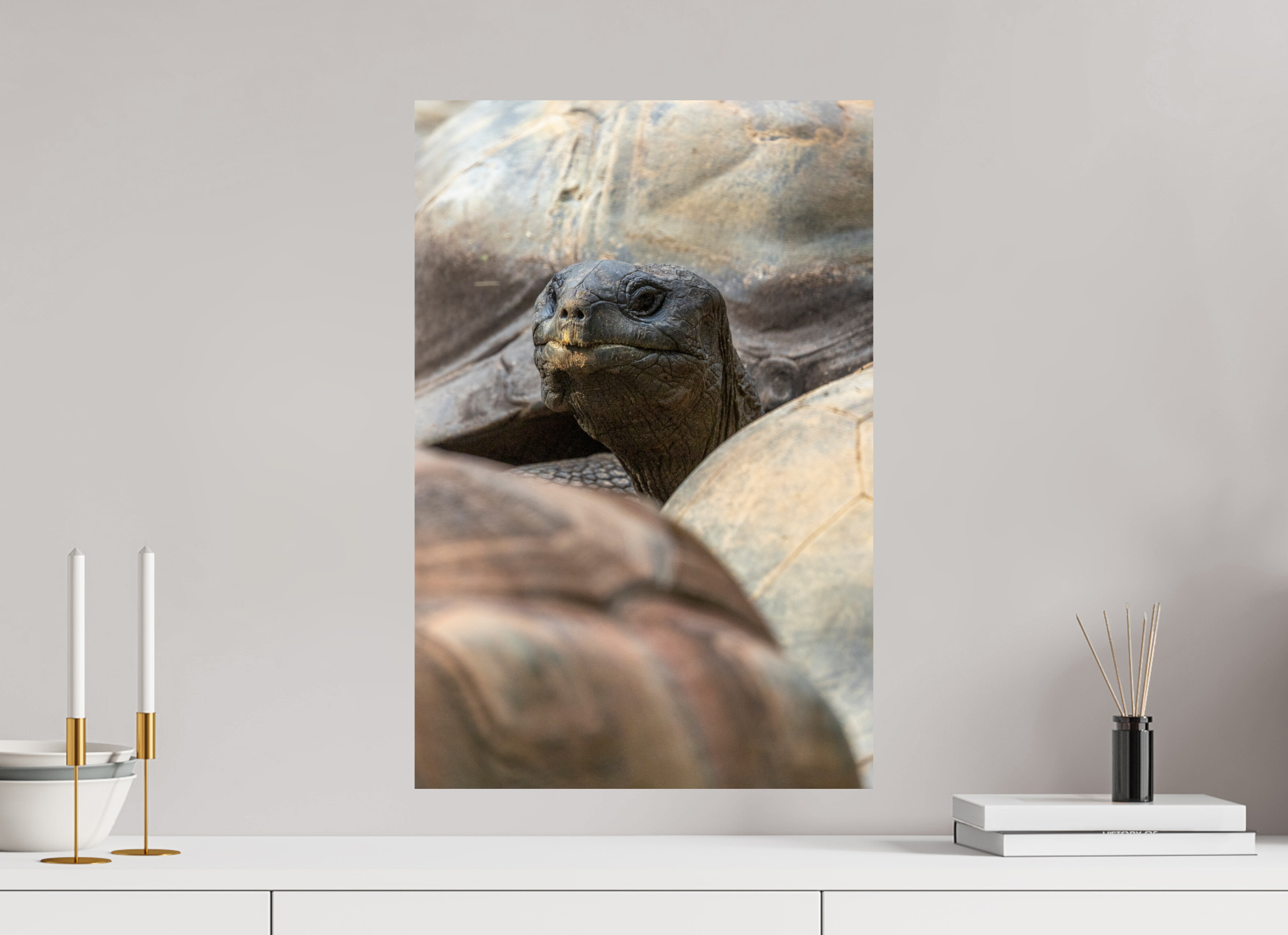 40 x 60 cm, Fine Art Print auf Alu-Dibond Peekaboo Giant
