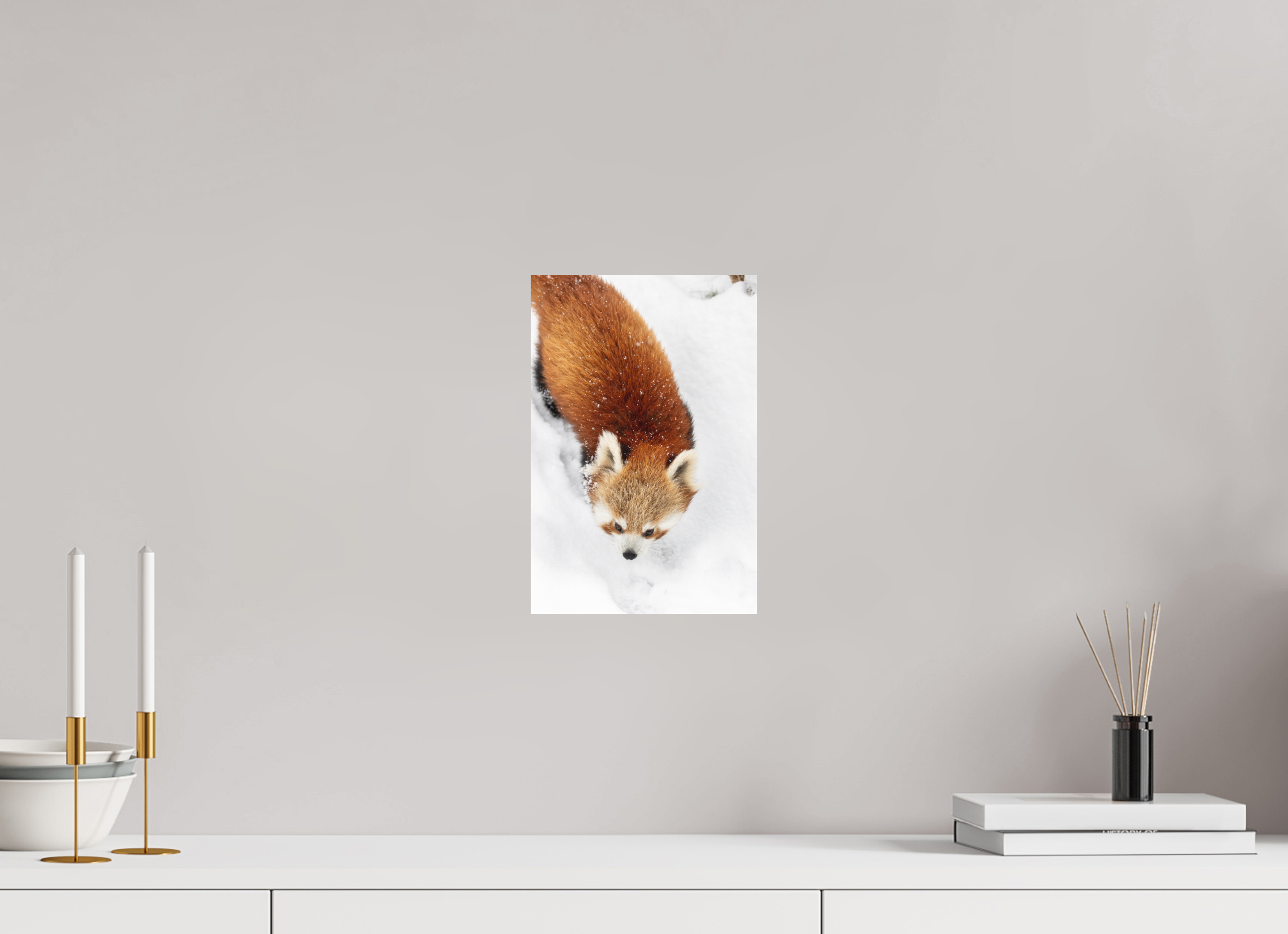 20 x 30 cm, Fine-Art Print Matt Snowbound Explorer