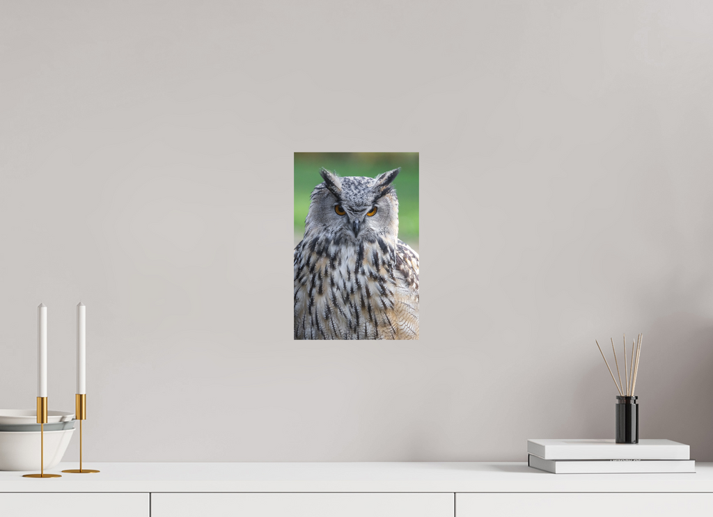 20 x 30 cm, Fine-Art Print Matt Nocturnal Majesty