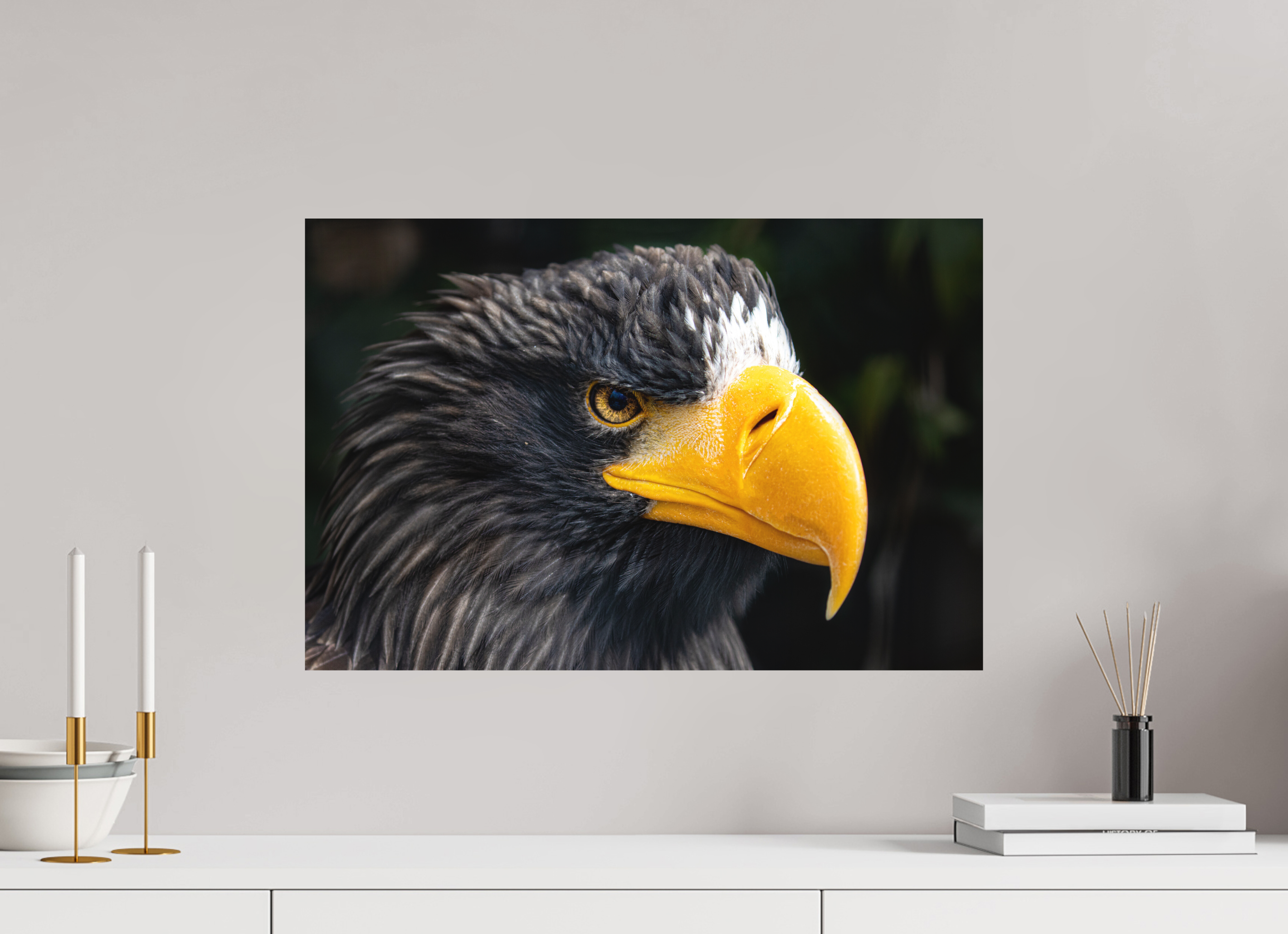 60 x 40 cm, Fine-Art Matt Imperial Gaze